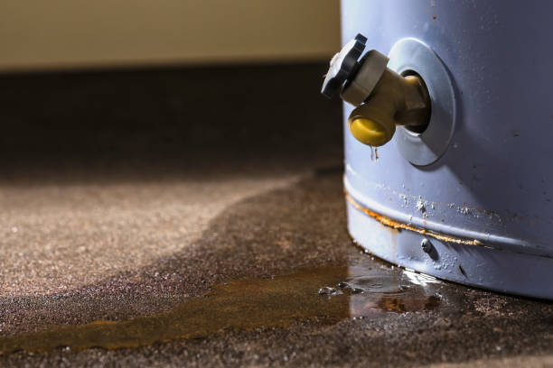 Carpet water damage restoration in Manchester, MO