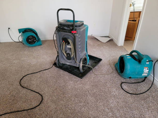 Best Water damage cleanup near me  in Manchester, MO