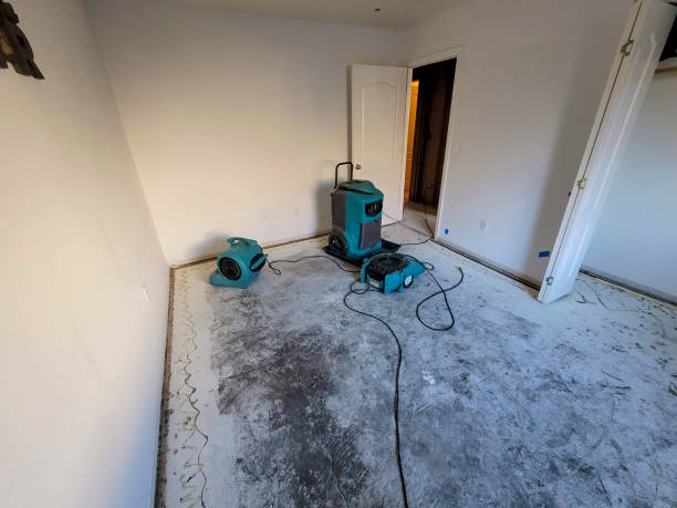 Best Carpet water damage restoration  in Manchester, MO