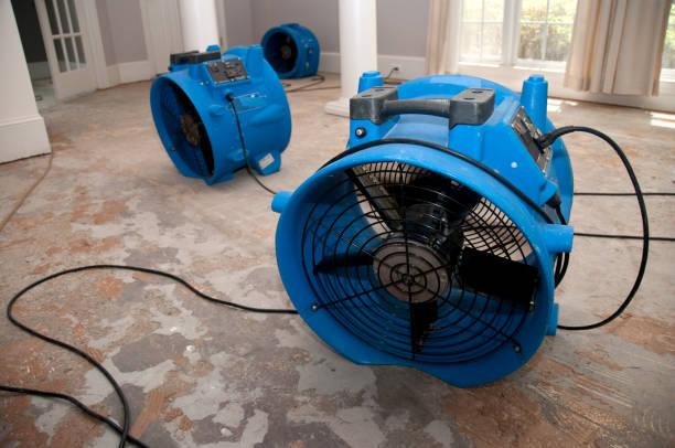 Best Ceiling water damage repair  in Manchester, MO