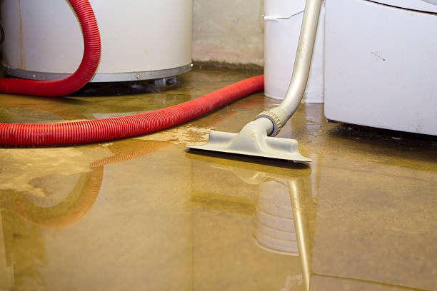 Best Commercial water damage restoration  in Manchester, MO