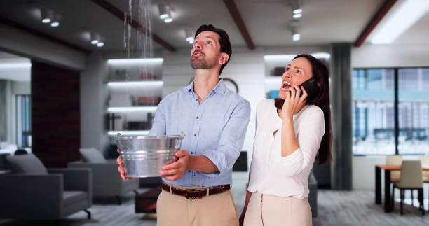 Best Sewage cleanup and water damage restoration  in Manchester, MO